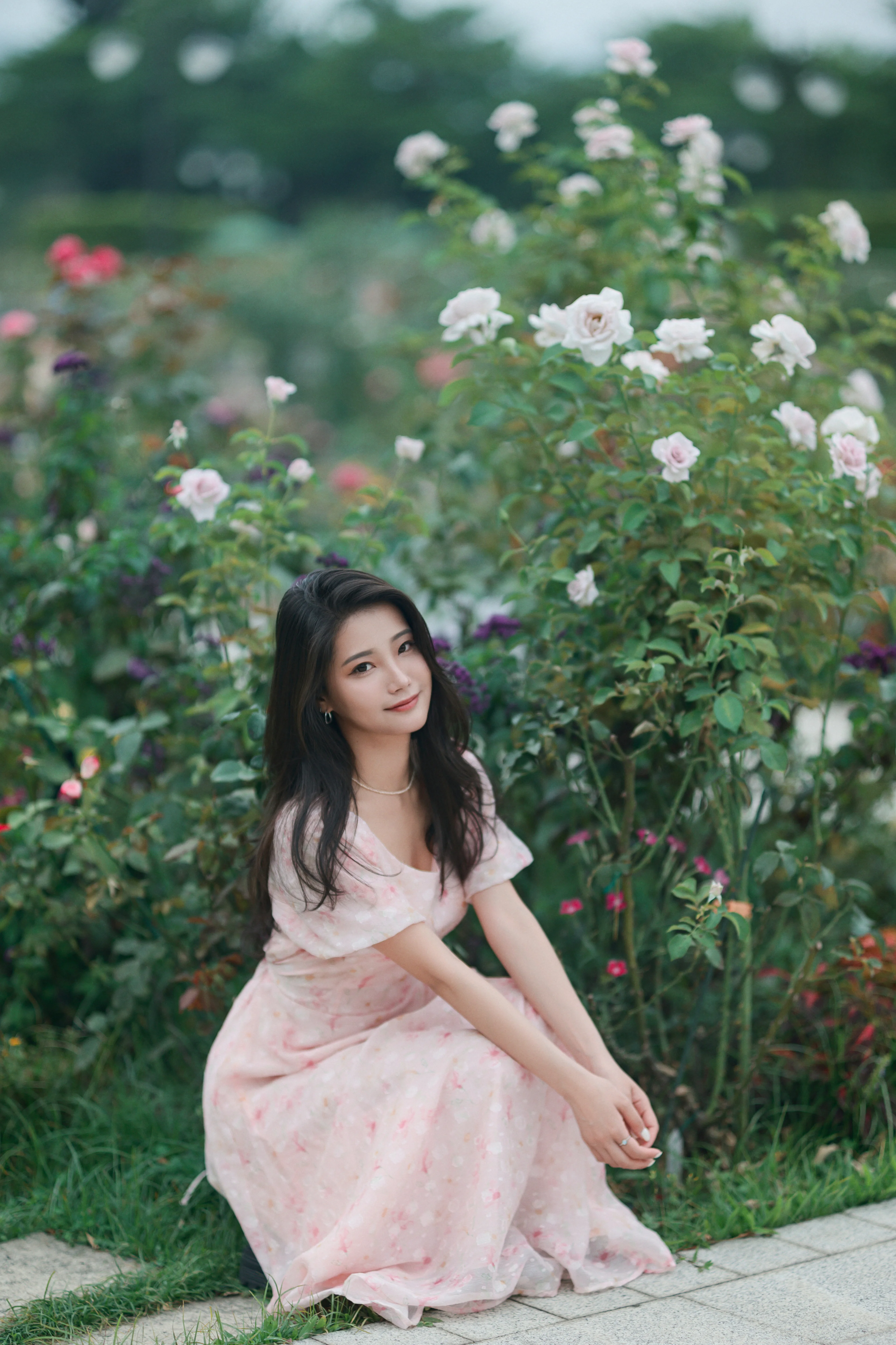 Claire 2